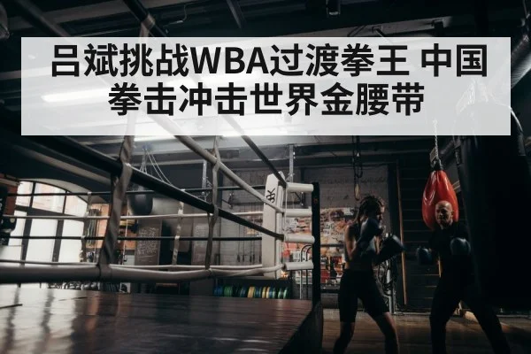 吕斌挑战WBA过渡拳王 中国拳击冲击世界金腰带