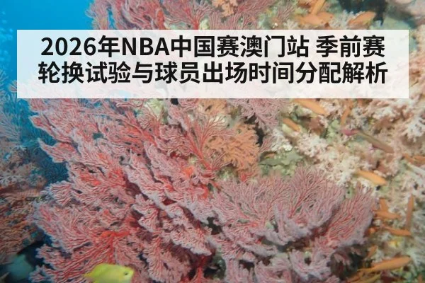 2026年NBA中国赛澳门站 季前赛轮换试验与球员出场时间分配解析